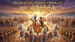 भगवद् गीता 1.14: अध्याय 1, श्लोक 14